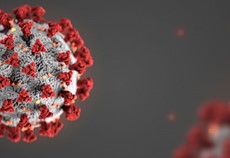 coronavirus.jpg